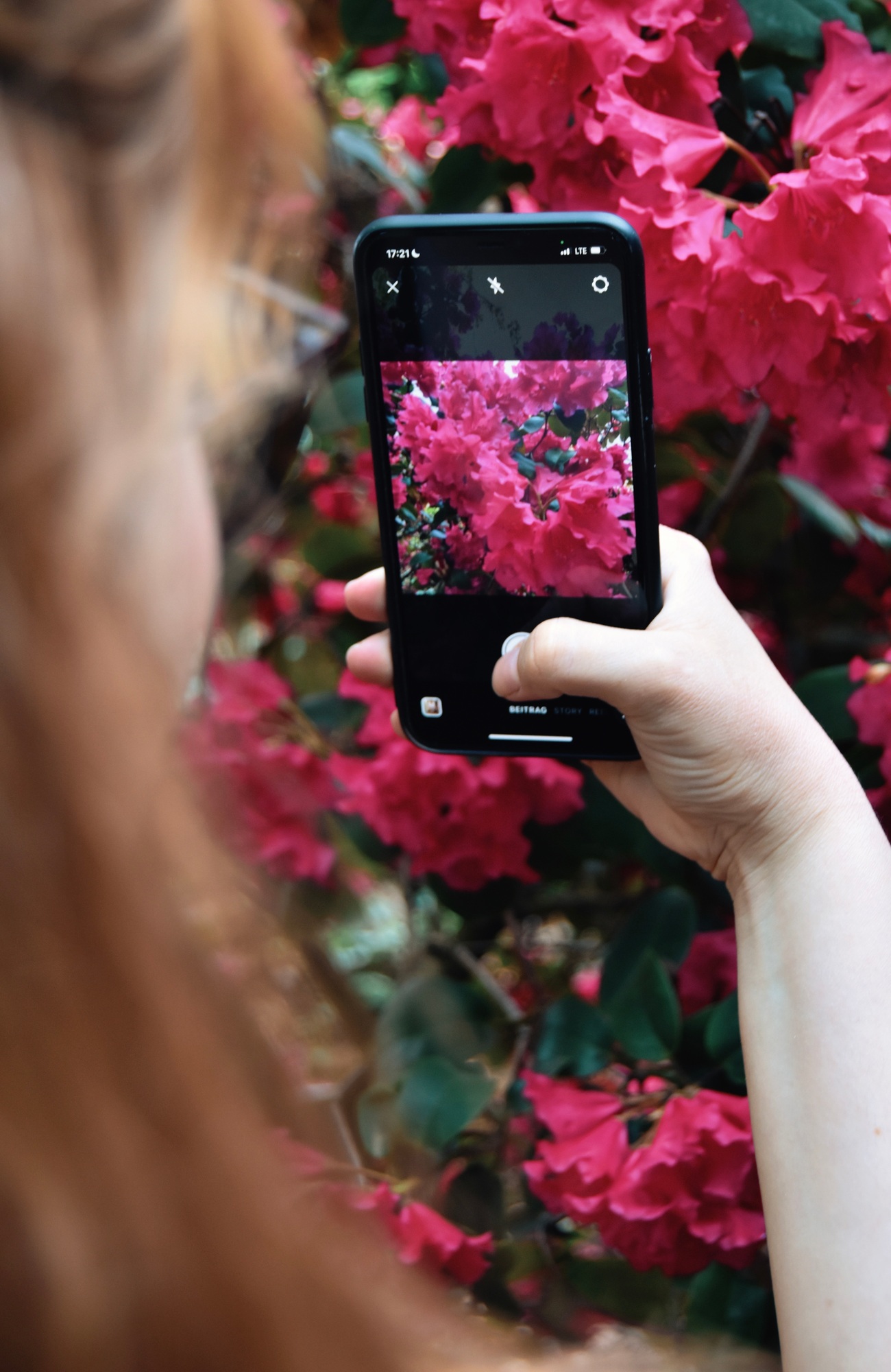 Posting a photo of pink flowers on Instagram