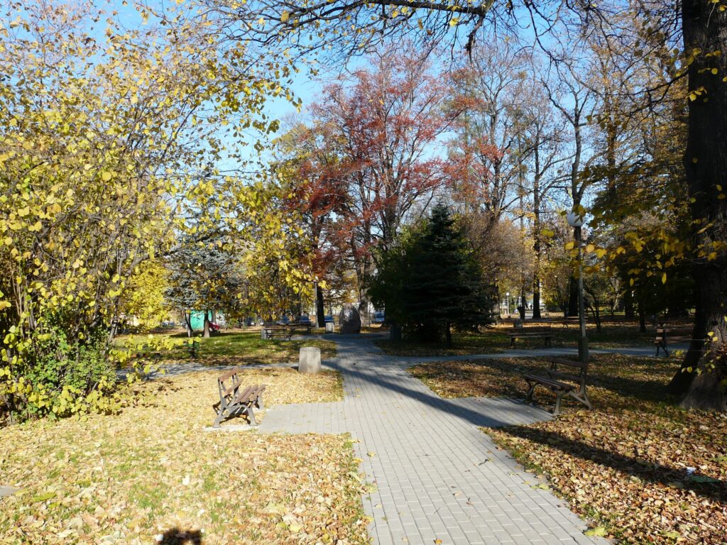Dzierżoniów — widok na miasto