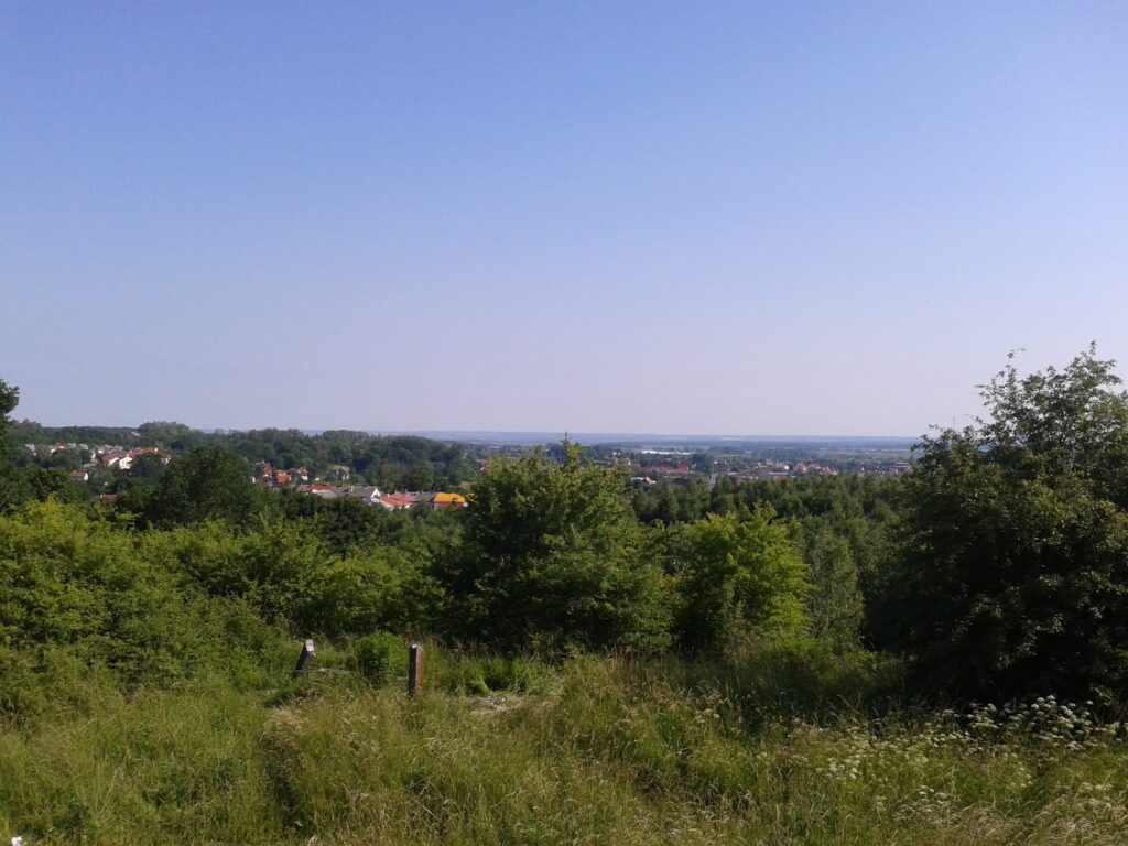Elbląg — zabudowa Starego Miasta