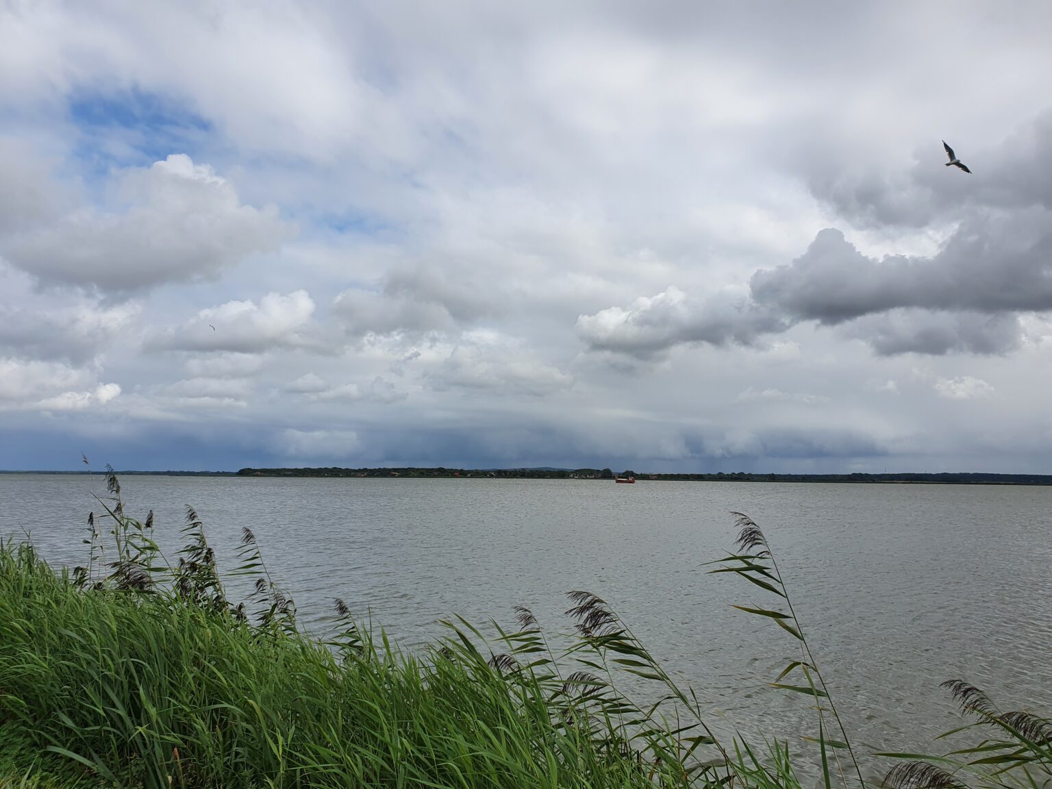 Jezioro Jamno pod Koszalinem, trzciny na brzegu i chmury nad taflą wody