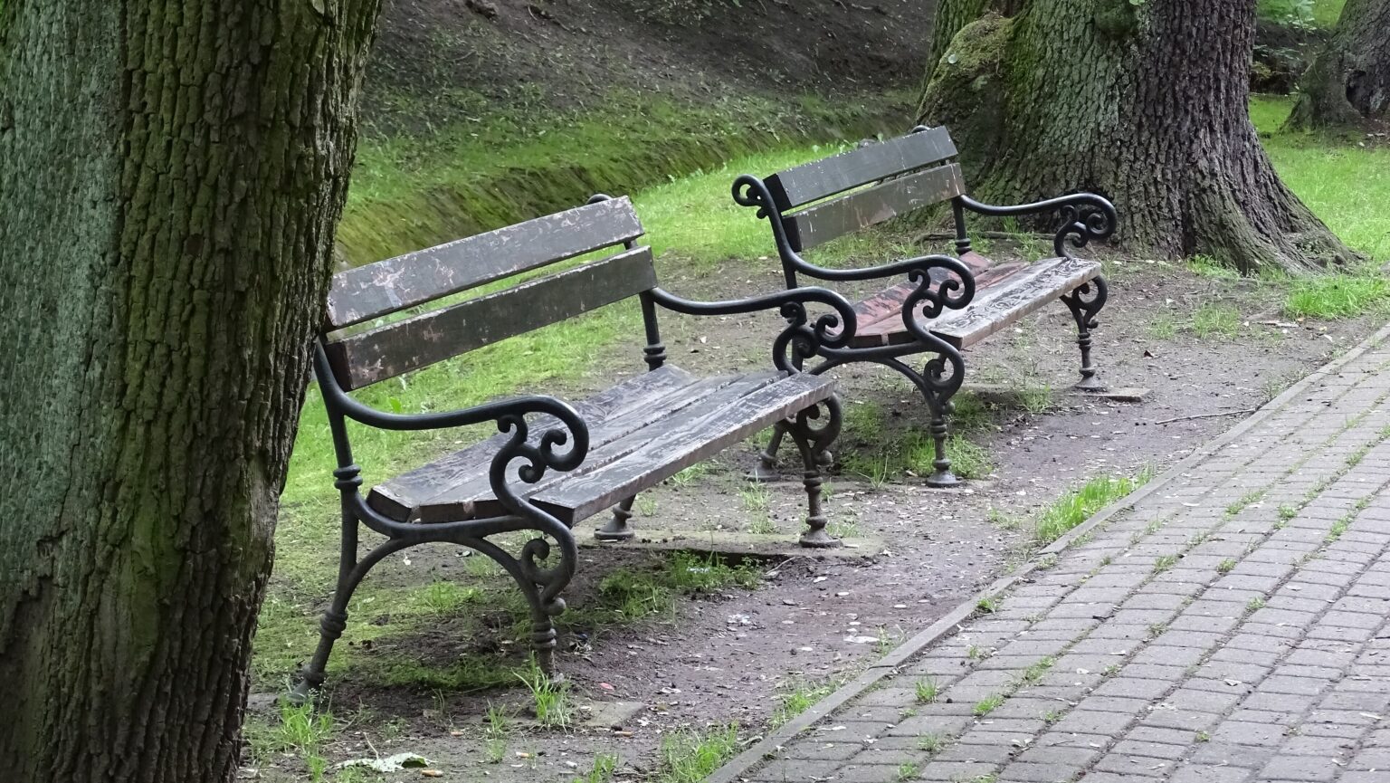 Ławki w cieniu drzew na mikołowskich Plantach; prowadzenie wizytówki Google dla firm z Mikołowa