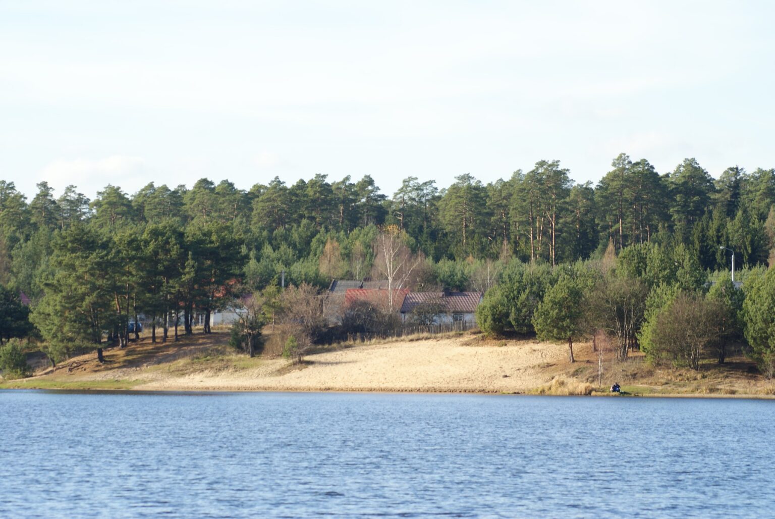 Spokojny widok przez wodę na plażę i las nad zalewem Lubianka; reklama Google Ads dla firm ze Starachowic