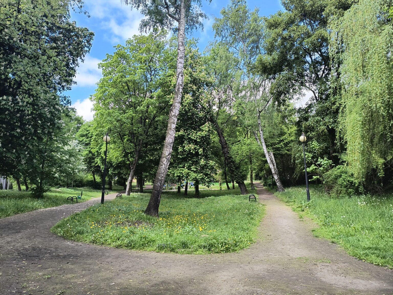Wiosenny park w Mikulczycach w Zabrzu, ścieżka rozwidlająca się na dwie strony wśród zieleni pod błękitnym niebem; pozycjonowanie stron internetowych dla firm z Zabrza